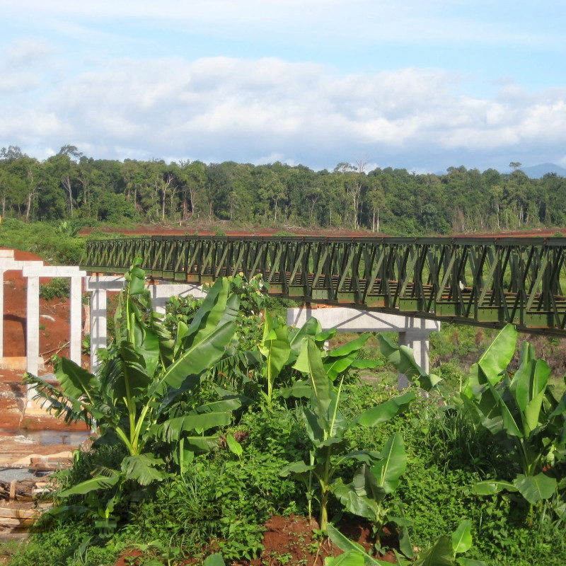 Customizable Double Lane High Strength 321 Type Bailey Panel Modular Steel Bridge for Construction and Emergency Relief with Hot-DIP Galvanized Components