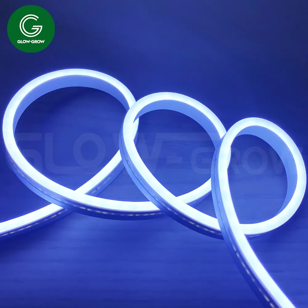 Factory Orange LED Strip DC12V Silicone Neon Flex Light for Indoor Outdoor Commercial Advertising Signboard Shop Logo DIY House Holiday Decoration