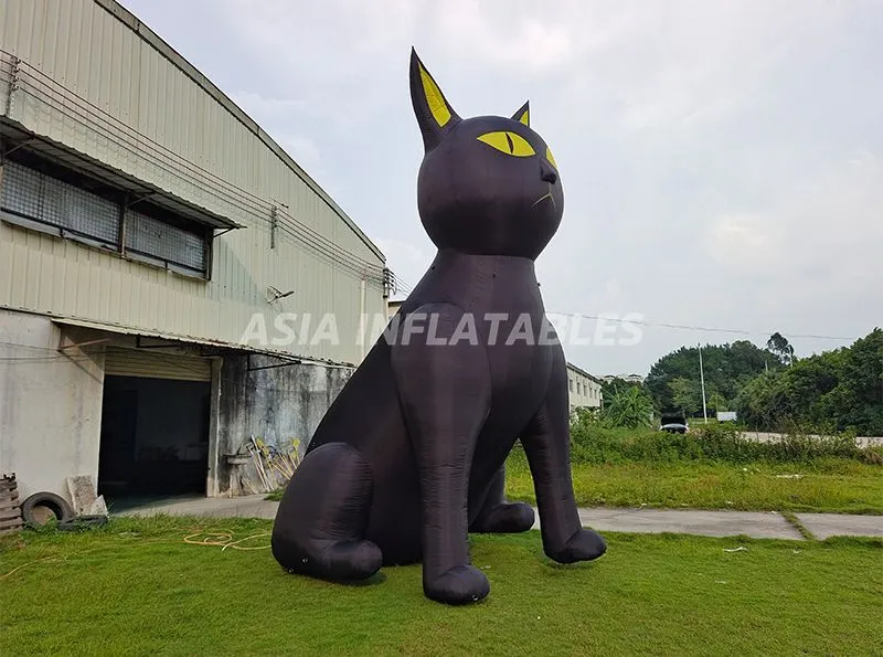 Inflatable Black Cat 5