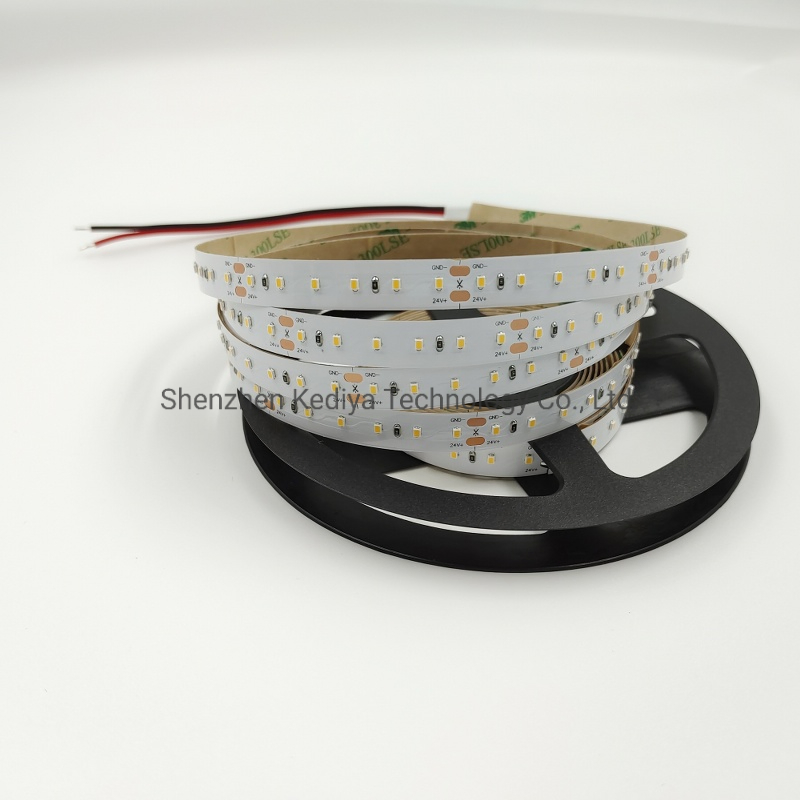 SMD2216 Flexible Rope Light DC24V LED Strip with EMC CE, RoHS