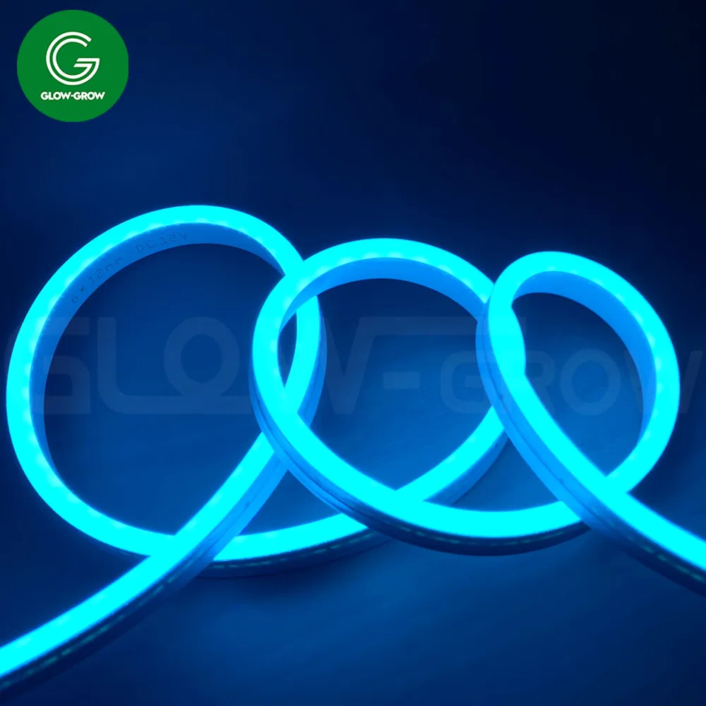 Factory Orange LED Strip DC12V Silicone Neon Flex Light for Indoor Outdoor Commercial Advertising Signboard Shop Logo DIY House Holiday Decoration