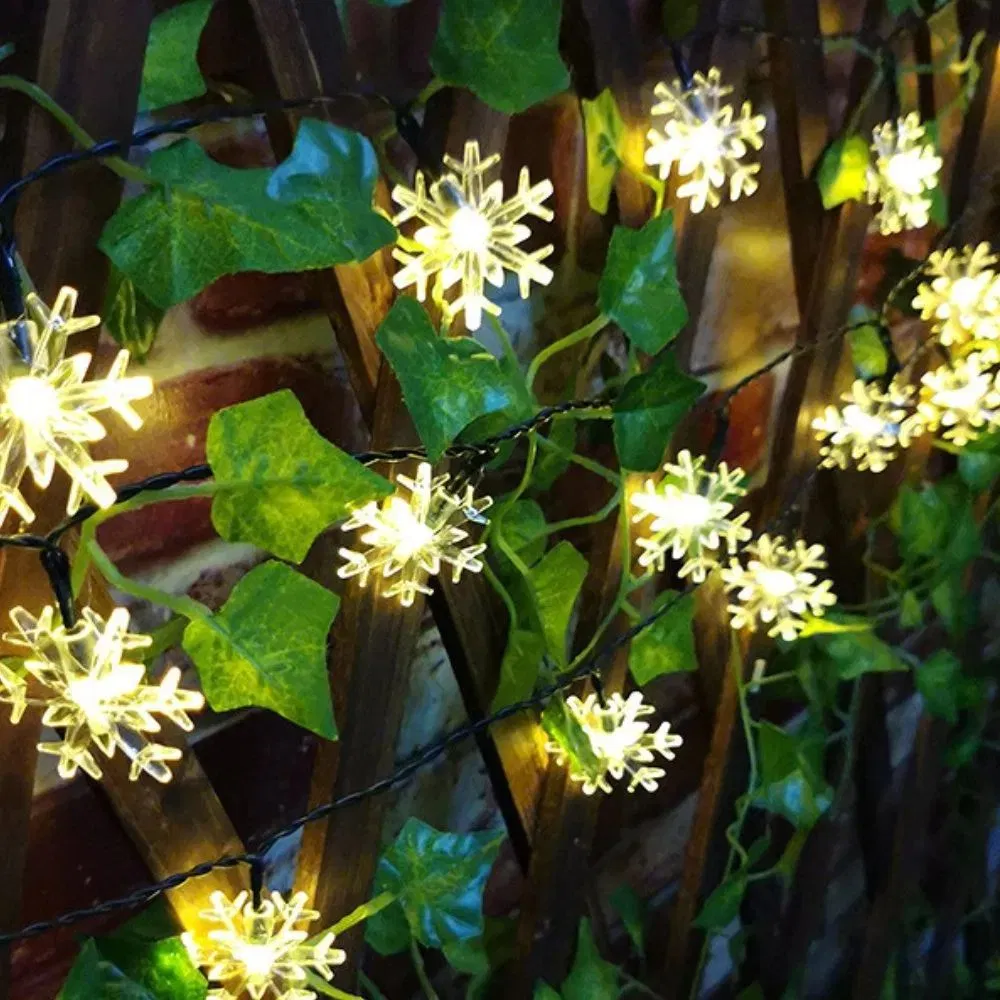 LED Solar Powered String Lights 4