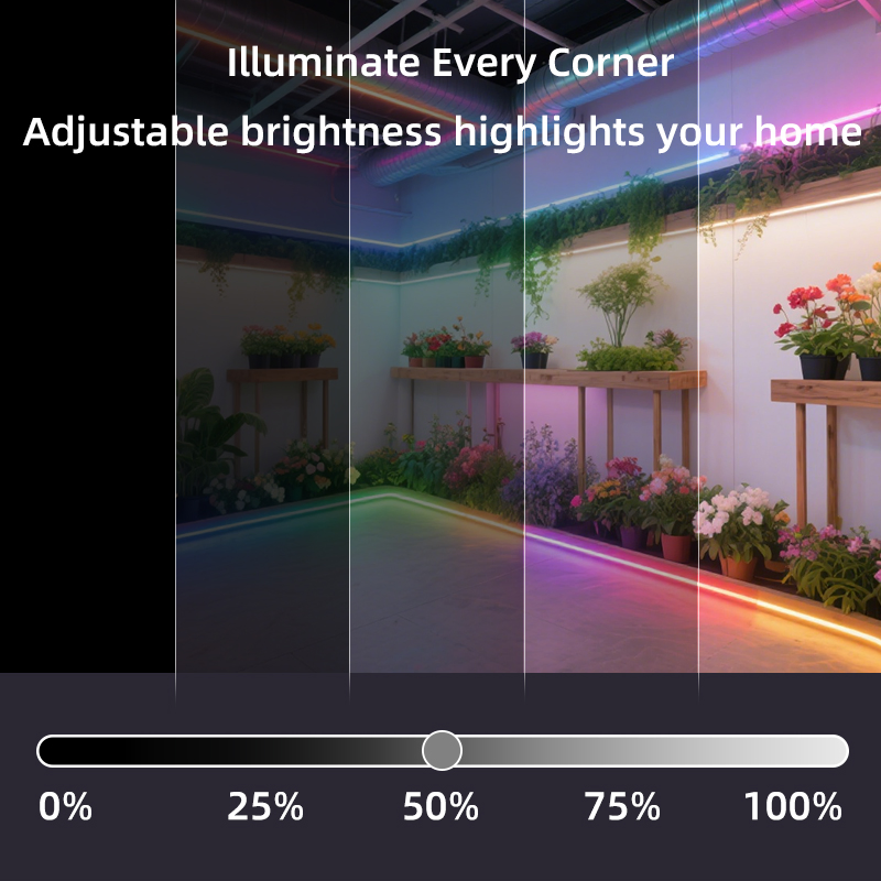 OEM Addressable Pixel Led Strip Light Rgb RGBW Programmable 5050 App Control Music Sync Waterproof IP67 IP65 IP20 for Gaming Room Bar Hotel Party Decoration