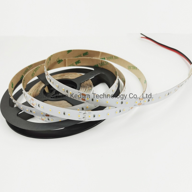 SMD2216 Flexible Rope Light DC24V LED Strip with EMC CE, RoHS