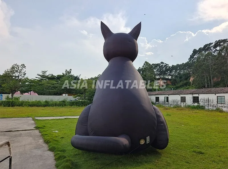 Inflatable Black Cat 6