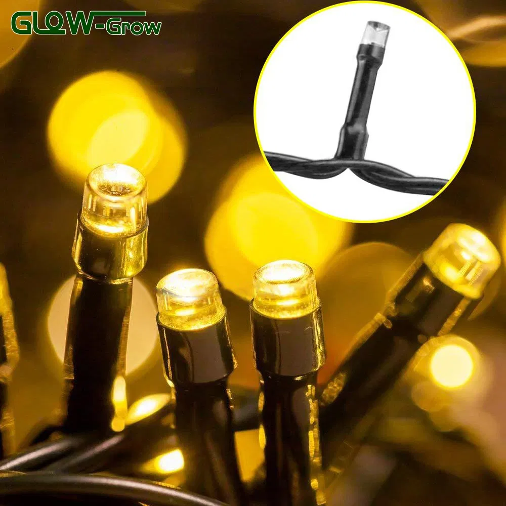 Holiday Decoration Detail