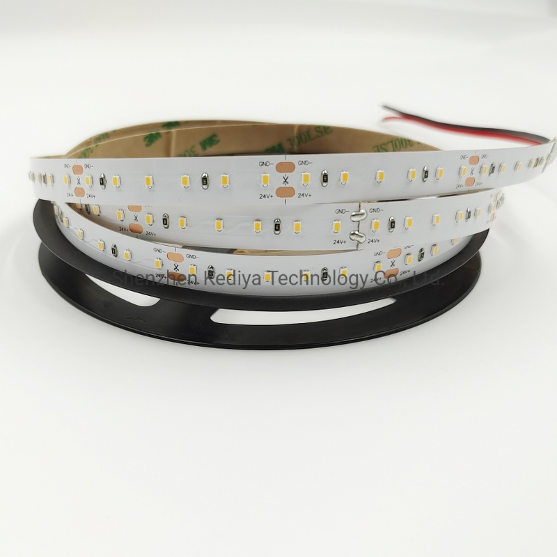 SMD2216 Flexible Rope Light DC24V LED Strip with EMC CE, RoHS