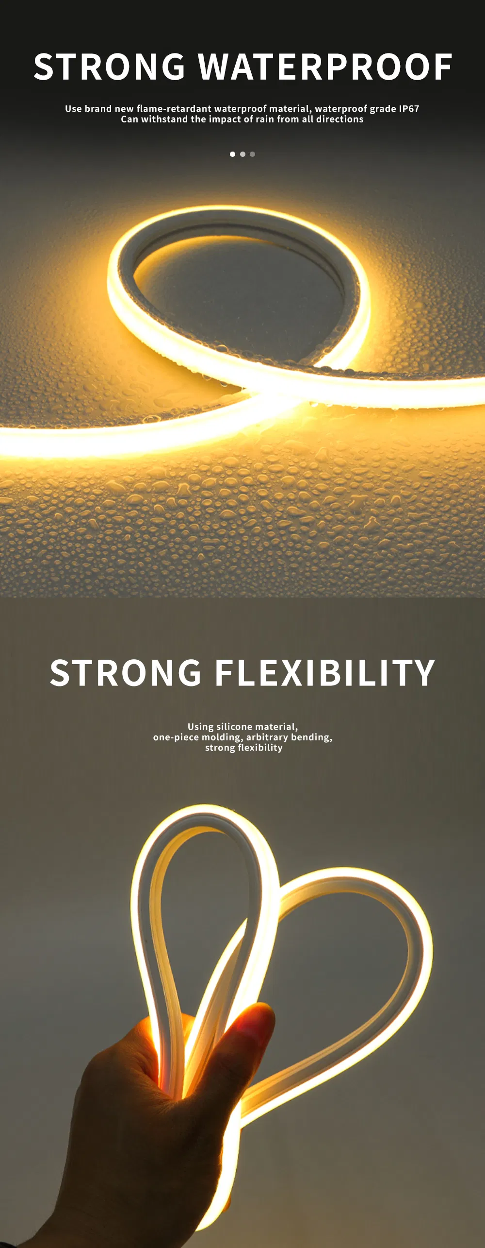 Neon Strip Display 2