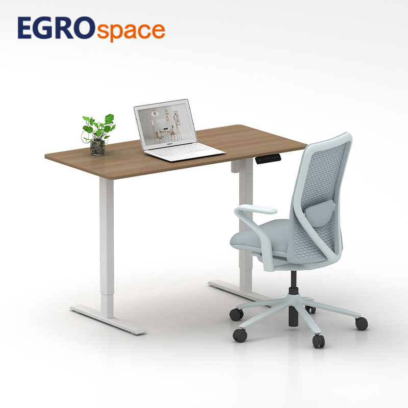 Egrospace Adjustable Standing Single Motor Computer Lift up Electric Office Ergonomic Supplier Sit Stand Desk