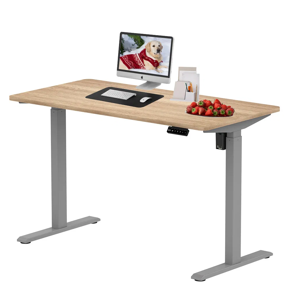 Adjustable Height Table Electric Standing Single Motor Stand up Ergonomic Lifting Desk for Office