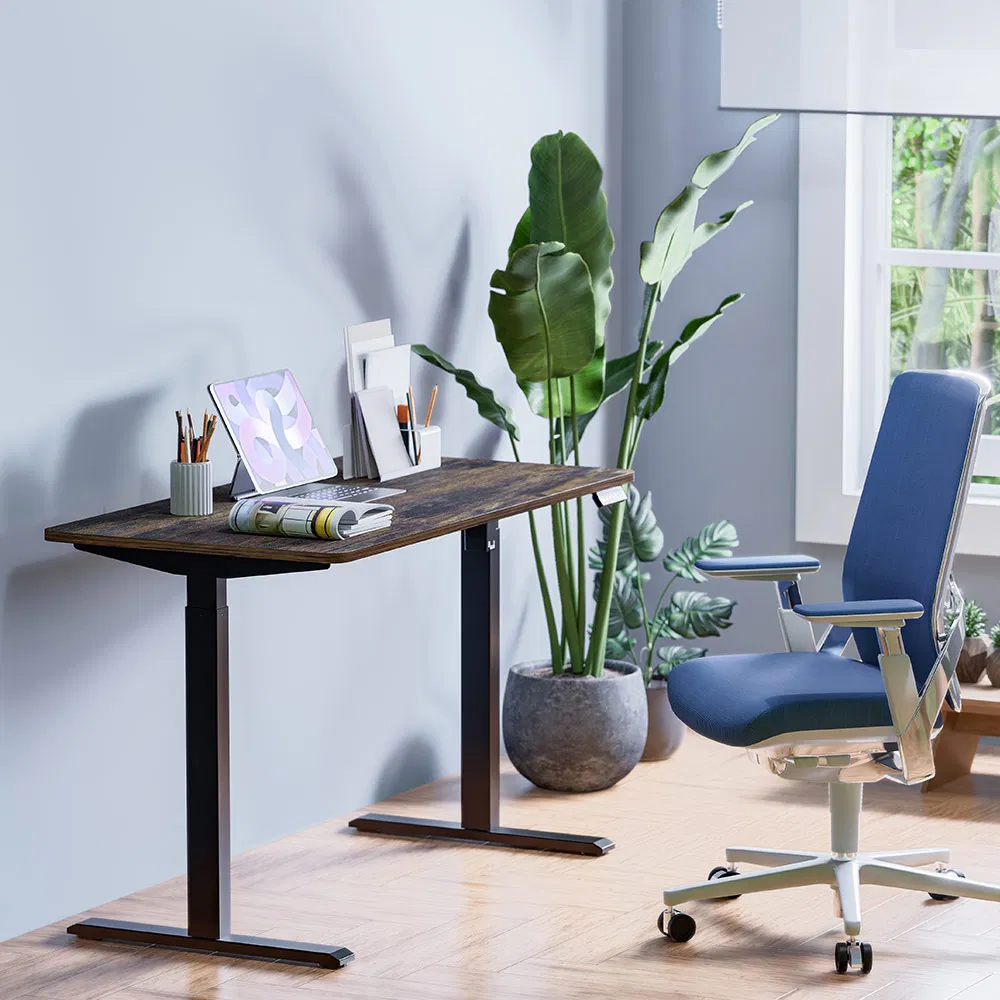 Ergonomic Desk Frame