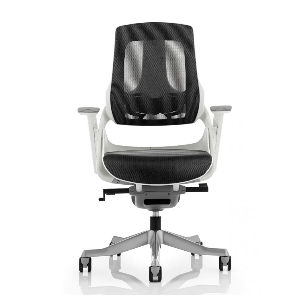 BIFMA Standard Ergonomic Backrest with Elastic Mesh Task Chair From Foshan Factory
