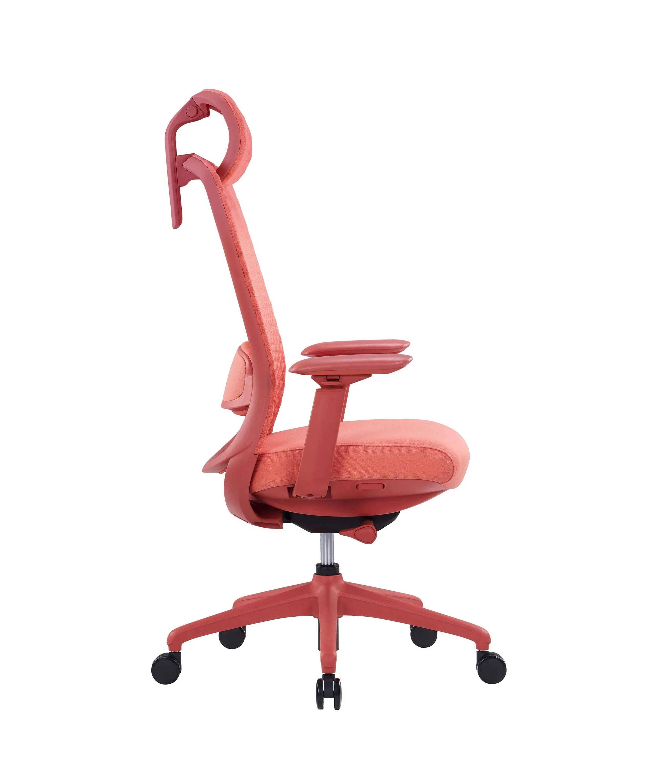 Breathable Coral Mesh Office Task Chair with Adjustable Lumbar