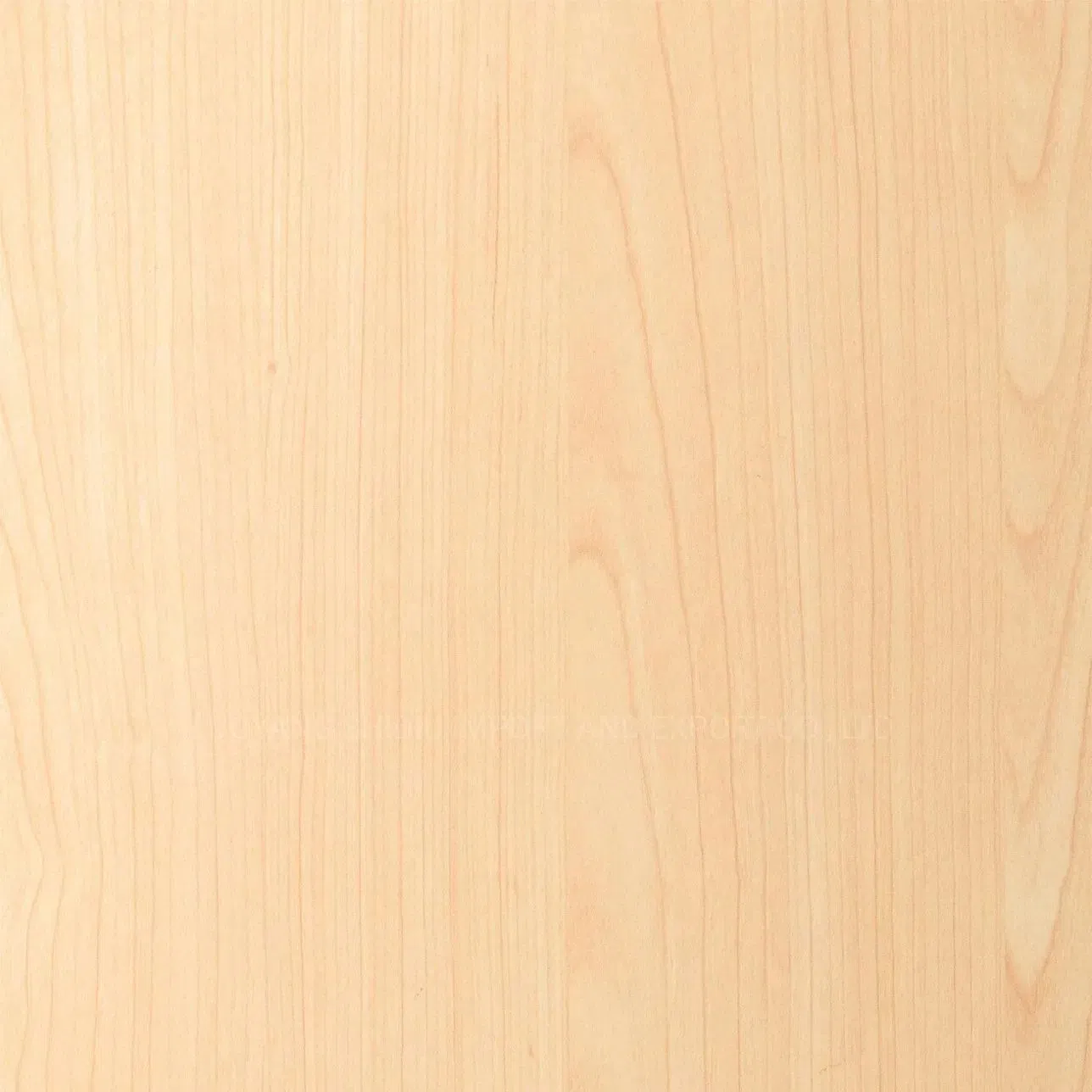 Counter Height Storage Cabinets Cupboard with Tambour Doors