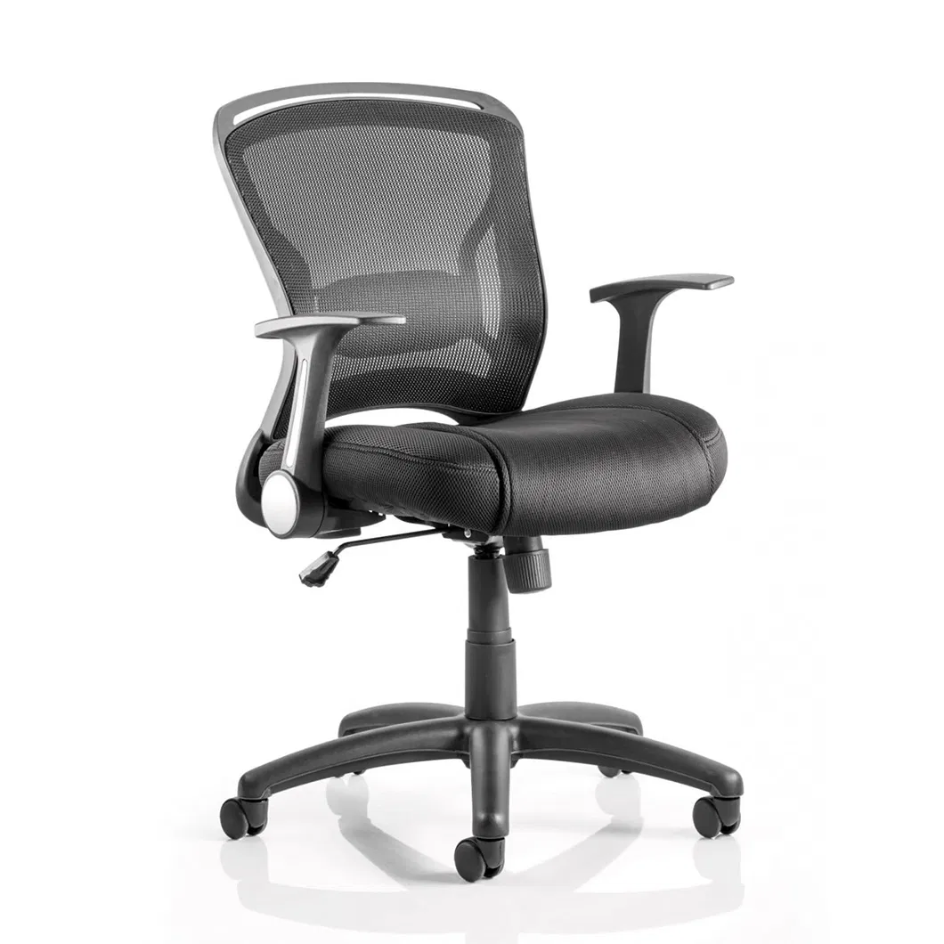 BIFMA Standard Ergonomic Backrest with Elastic Mesh Task Chair From Foshan Factory
