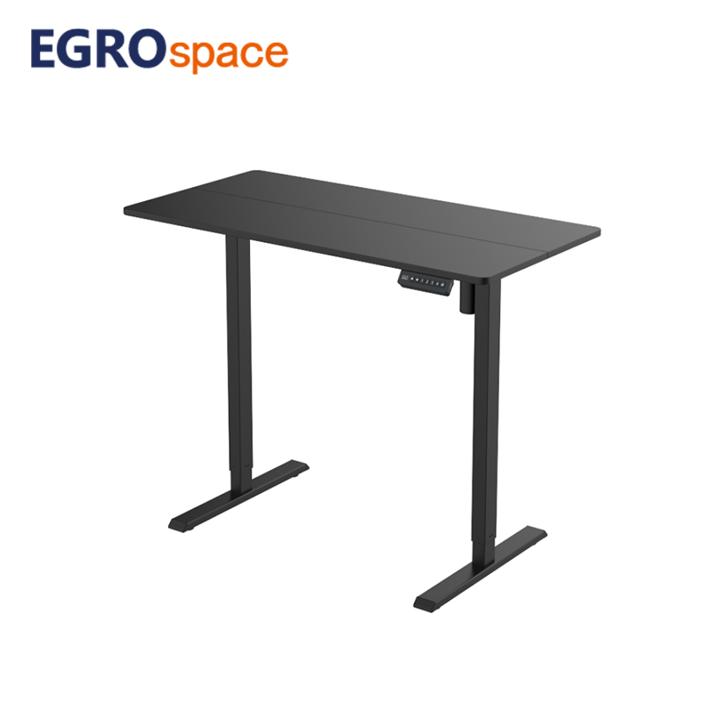 Egrospace Adjustable Height Table Electric Standing Single Motor Stand up Ergonomic Lifting Office Desk