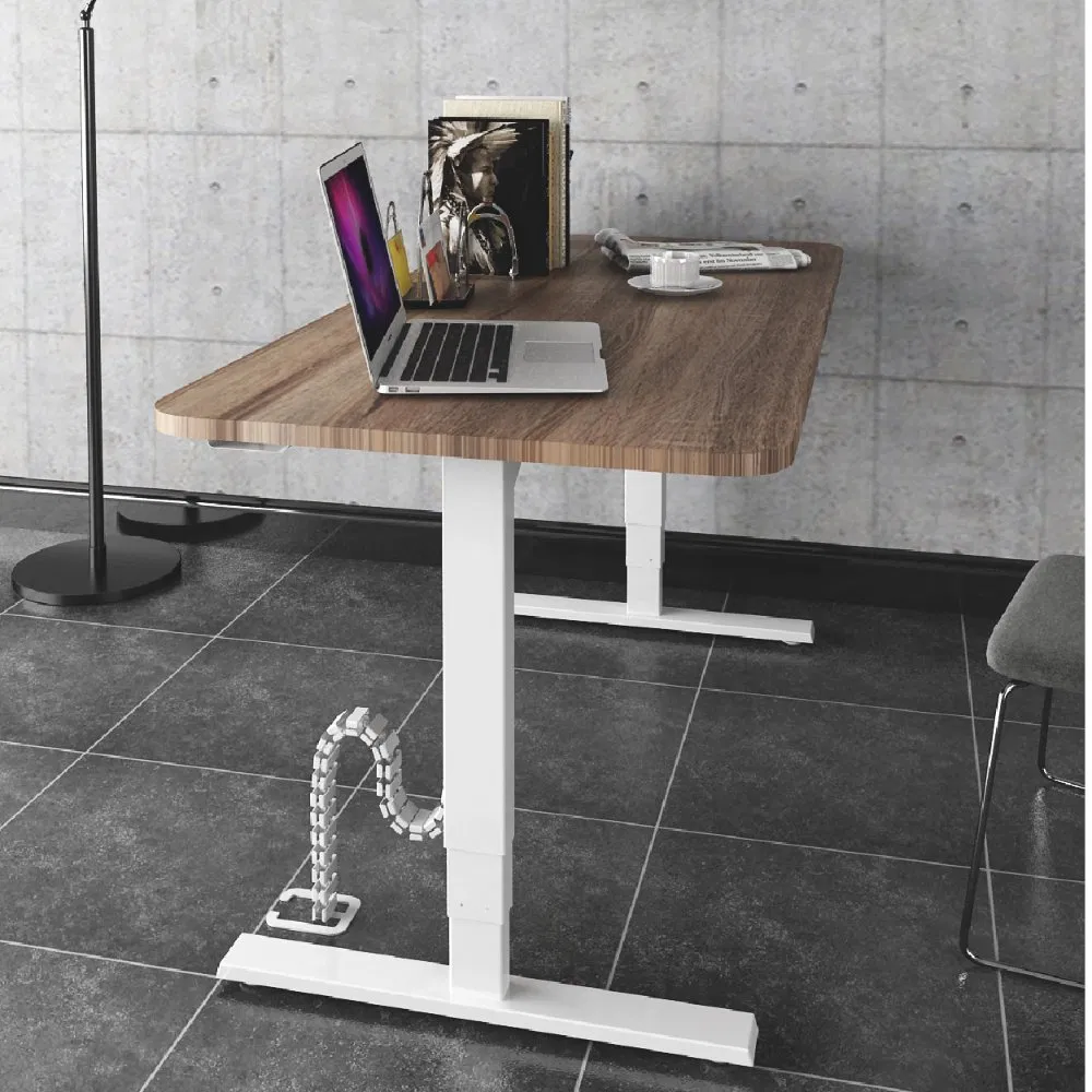 Jiecang Dual Motor Luxury Height Adjustable Executive Standing Desk