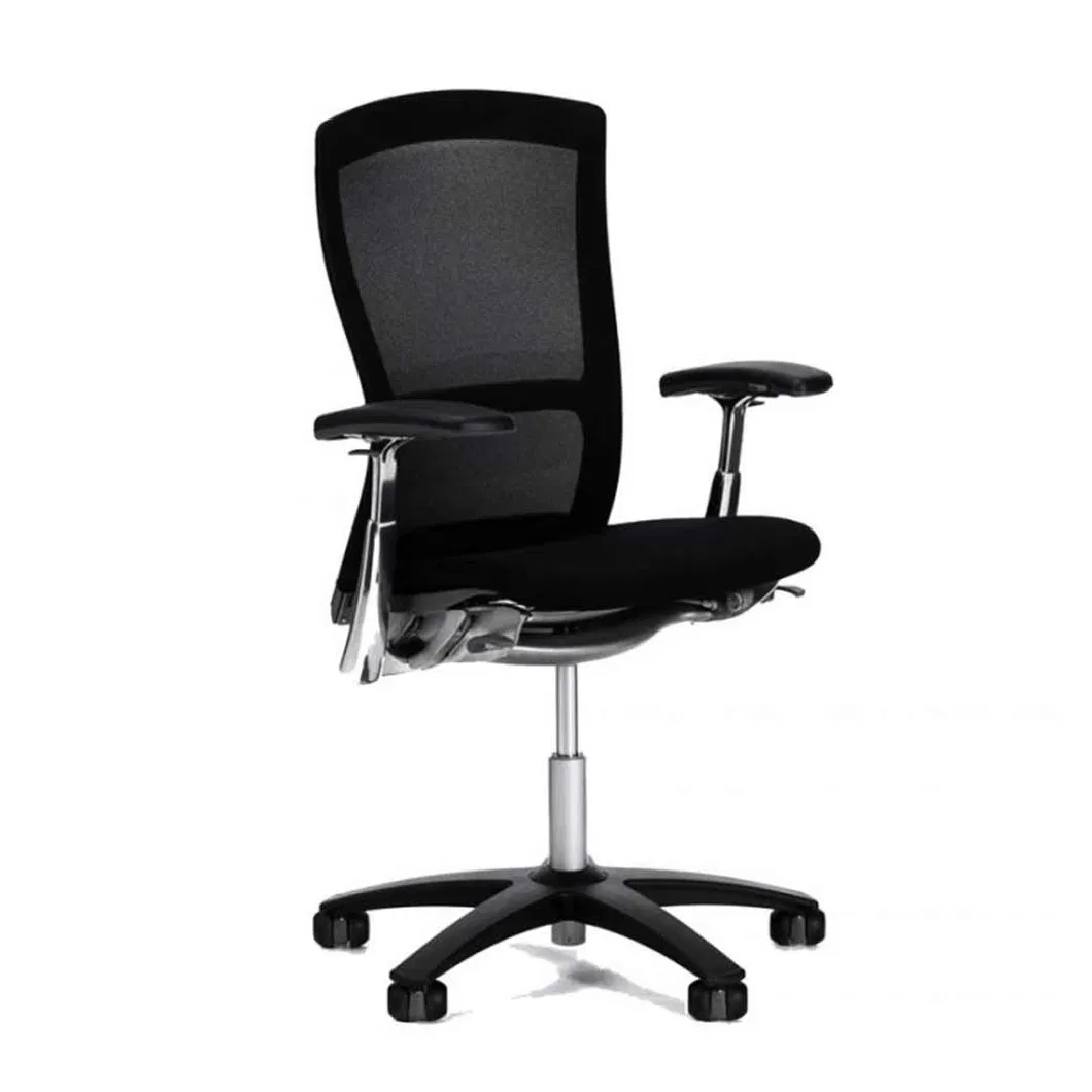 BIFMA Standard Ergonomic Backrest with Elastic Mesh Task Chair From Foshan Factory