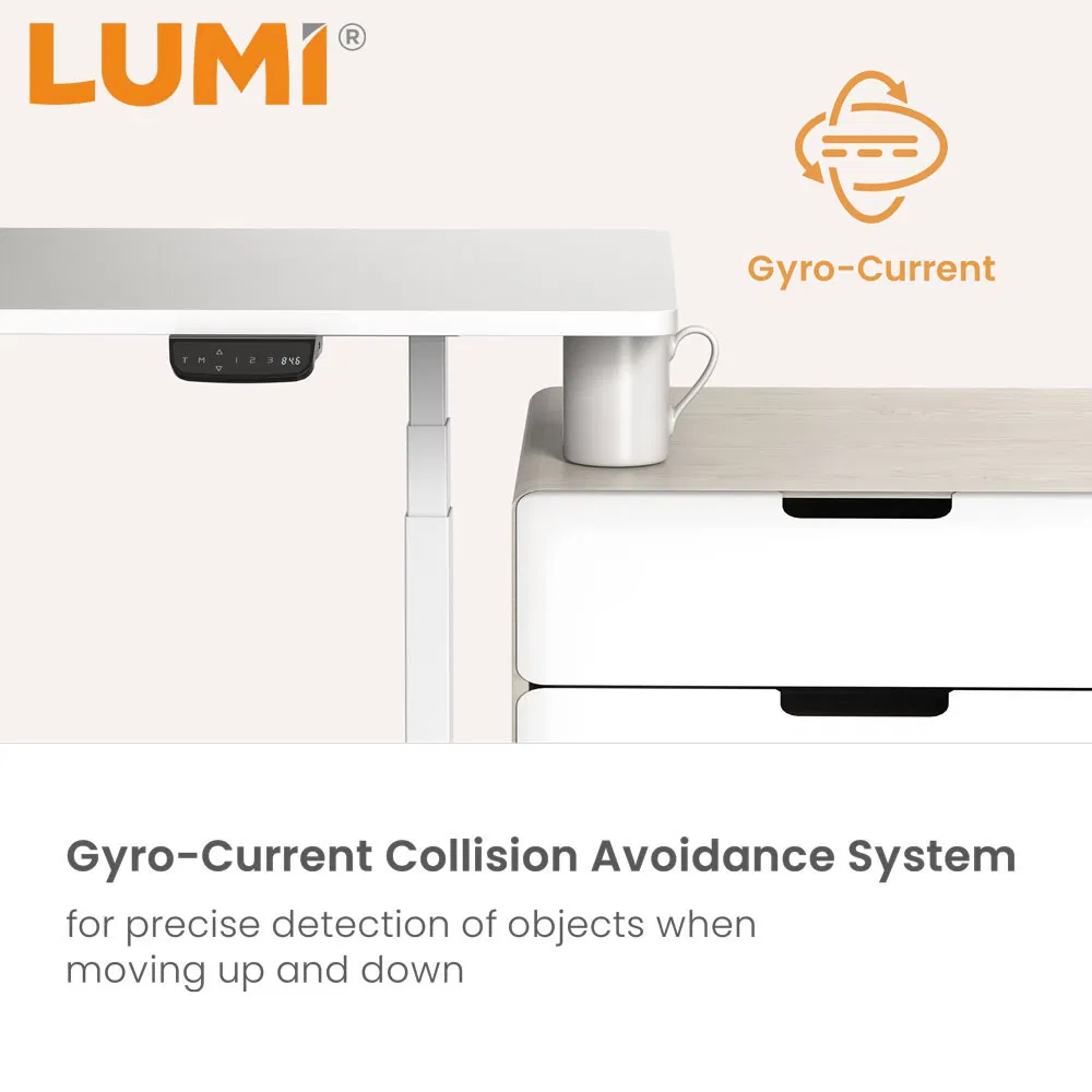 China Manufacture Wholesale Office Motorized Computer Ergonomic Stand up Down Black Memory Controller Height Adjustable Dual Motor Electric Sit Standing Desk