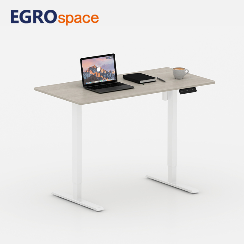 Egrospace Adjustable Height Table Electric Standing Single Motor Stand up Ergonomic Lifting Office Desk