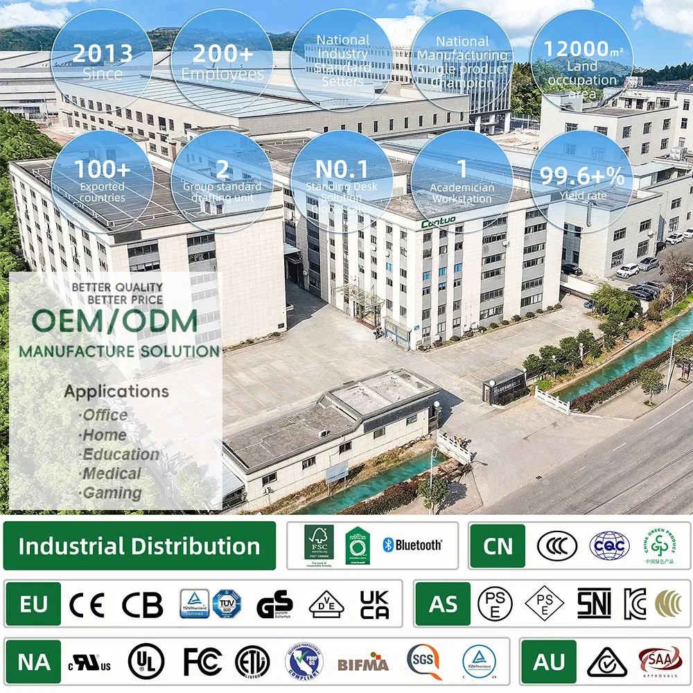 Adjustable Height Table Electric Standing Single Motor Stand up Ergonomic Lifting Desk for Office