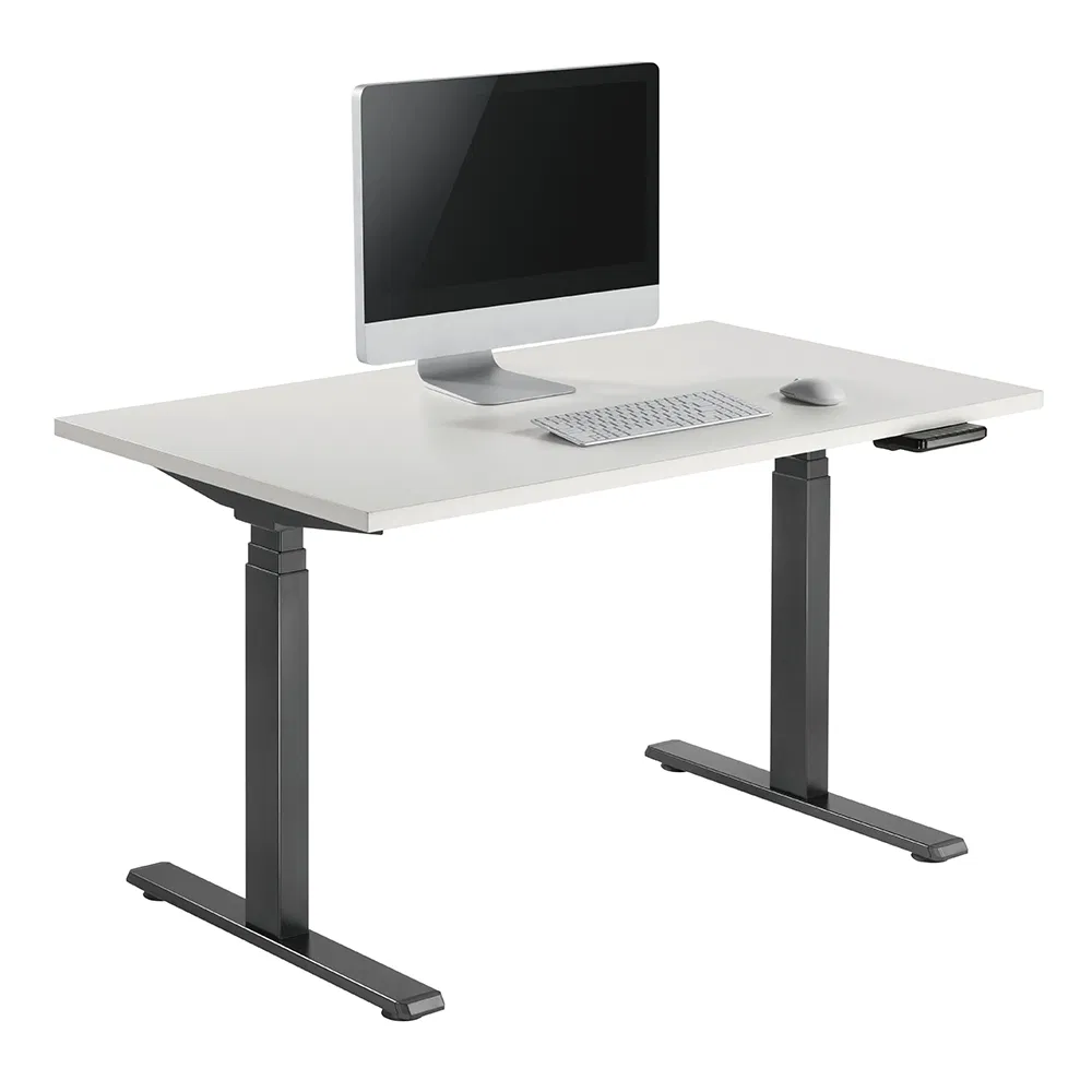 Standing Desk Model 4