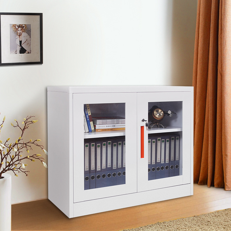 Steel Filing Cabinet Glass Sliding Door Lockable Office Storage Cupboard Adjustable Shelves Heavy Duty Metal Cabinet