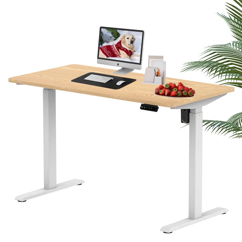 Adjustable Height Table Electric Standing Single Motor Stand up Ergonomic Lifting Desk for Office