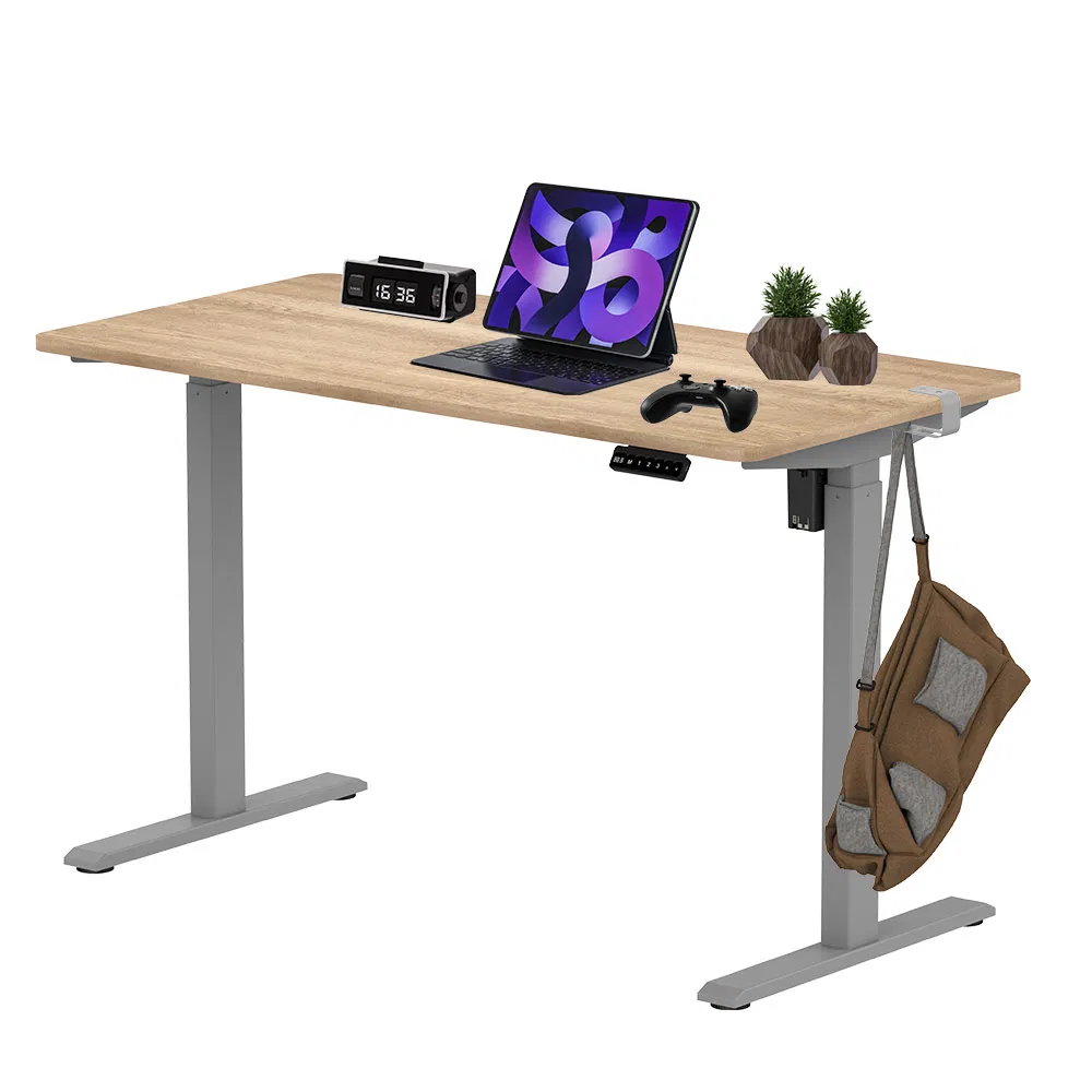 Height Adjustable Home Office Sit Stand Desk Automated Electric Lifting Table Ergonomic Standing Desk Frame