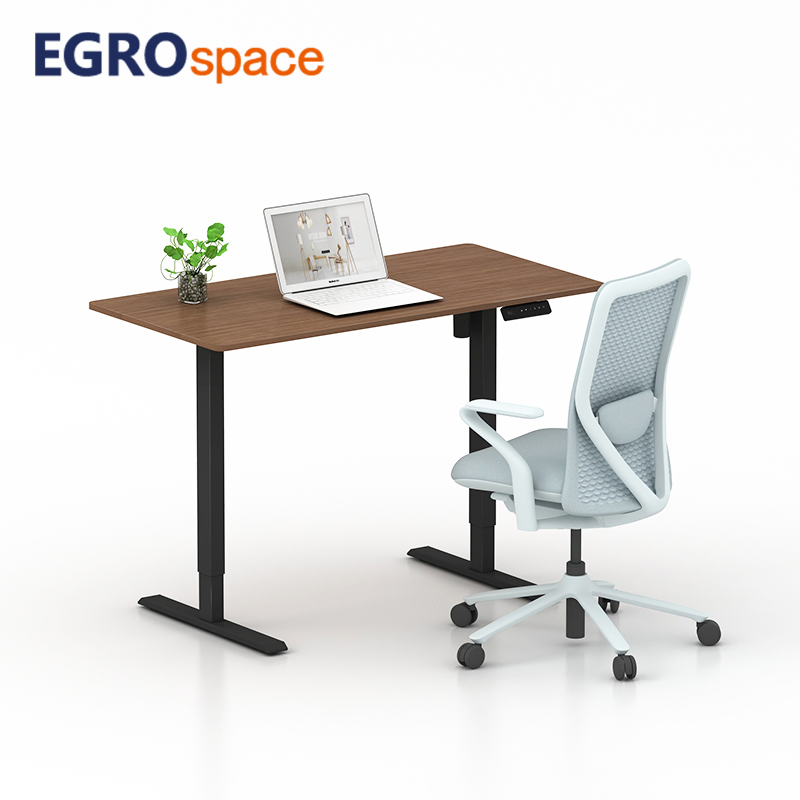 Egrospace Adjustable Height Table Electric Standing Single Motor Stand up Ergonomic Lifting Office Desk