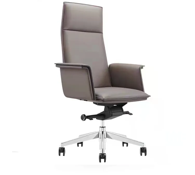 Executive Office Chair View 2