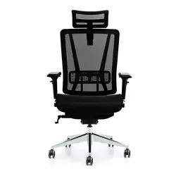 Comfortable Office Chair for Long-Term Sitting