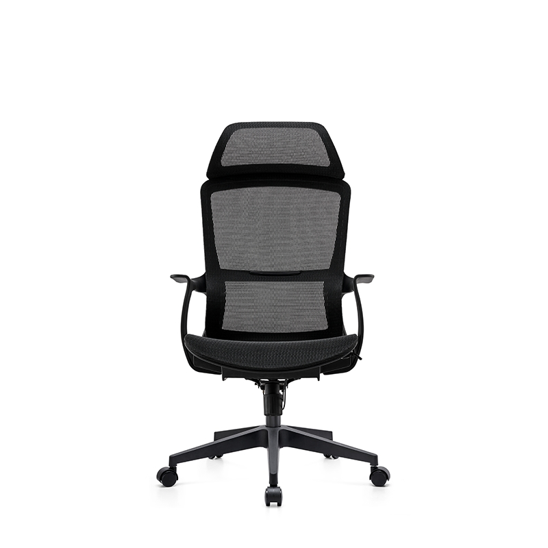 Stylish Mesh Task Chair with Lumbar Support and Breathability