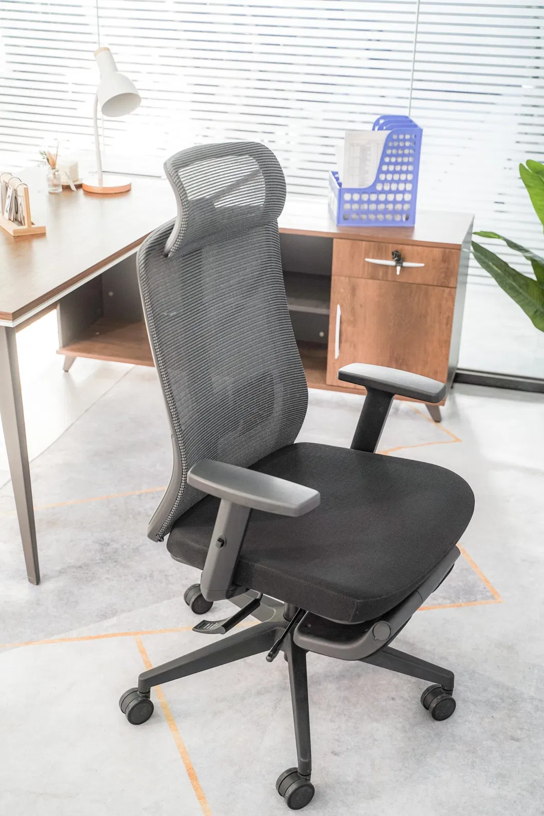 Ergonomic Back Support