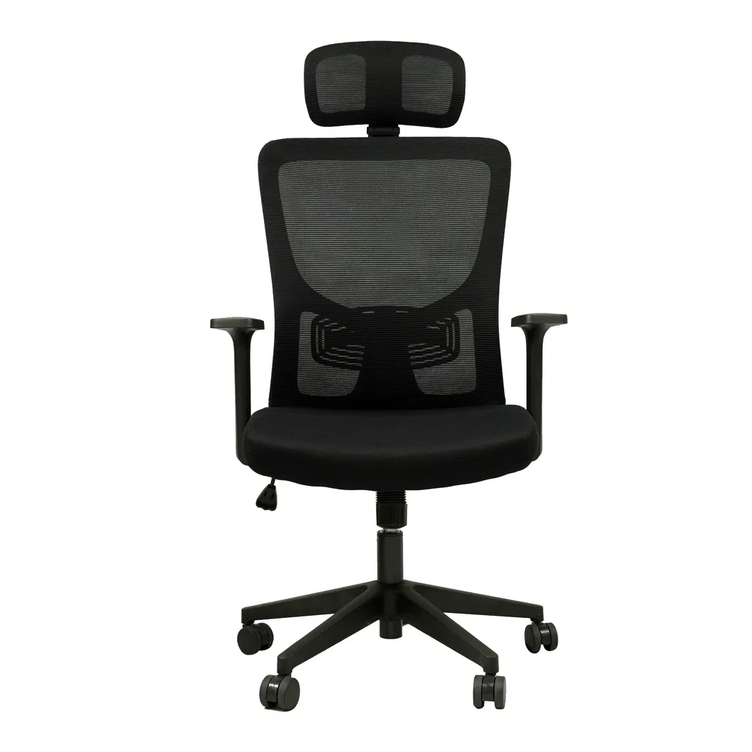Ergonomic Chair Front