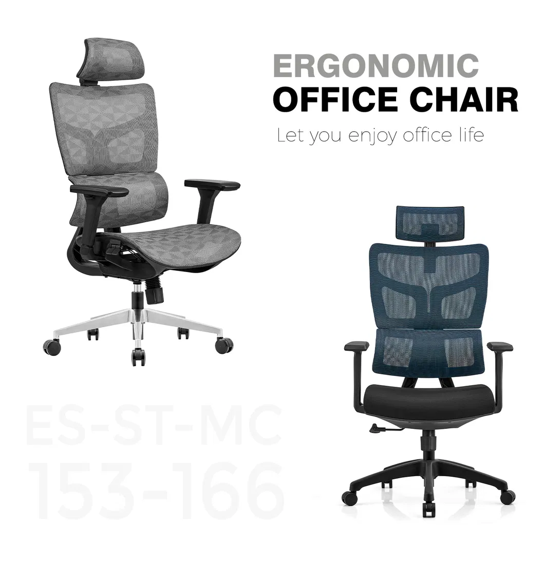 Ergonomic Chair Front View