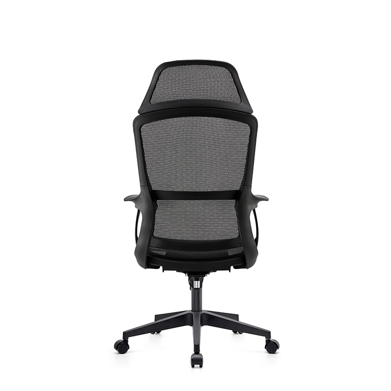 Stylish Mesh Task Chair with Lumbar Support and Breathability