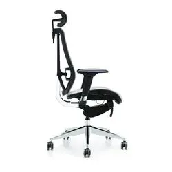 Comfortable Office Chair for Long-Term Sitting