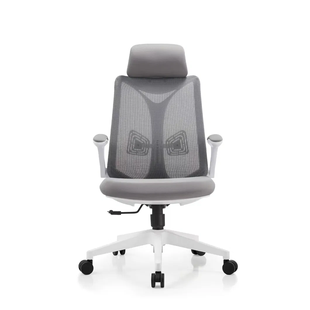 Ergonomic Mesh Office Chair View 2