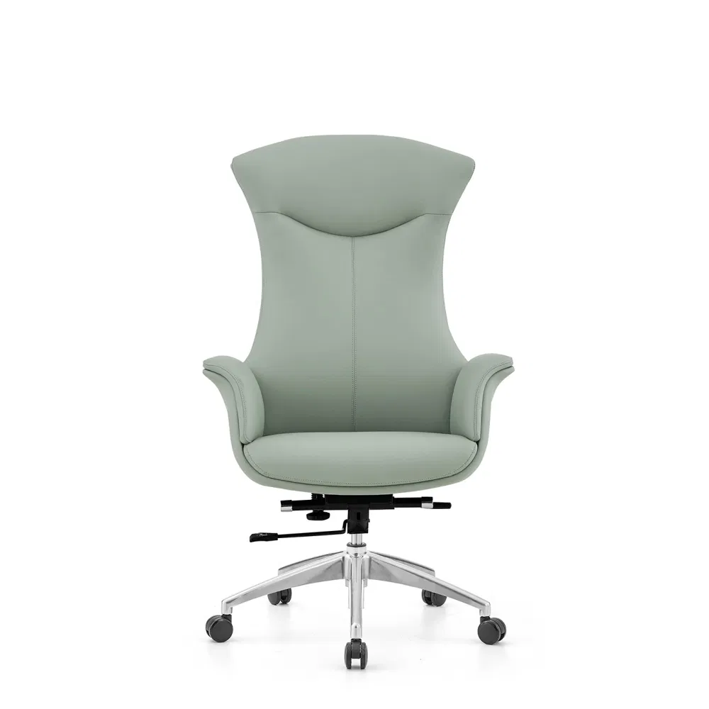 Computer Chair Executive Office Chair Big and Tall Office Chair High Back Genuine Leather Office with Wide Seat