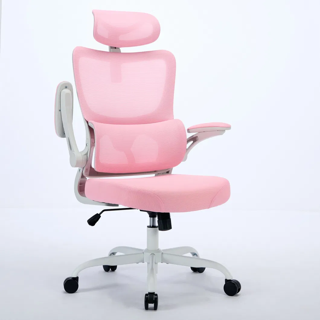 Mesh Desk Chair View