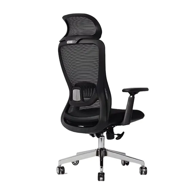 Ergonomic Chair Model 1
