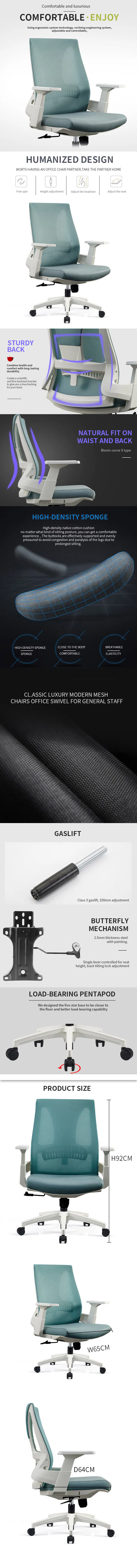 Ergonomic Chair Details