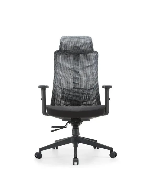 Ergonomic Chair 4