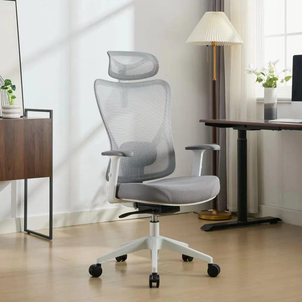 Ergonomic Chair 1