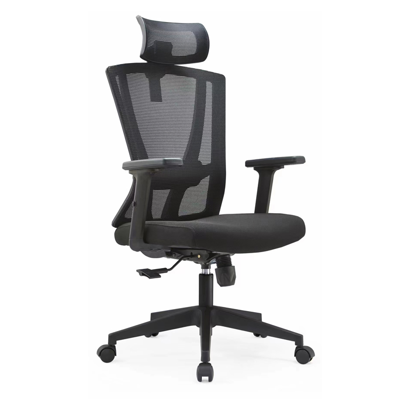 High Back Ergonomic Executive Mesh Swivel Office Chair with Neck Pillow