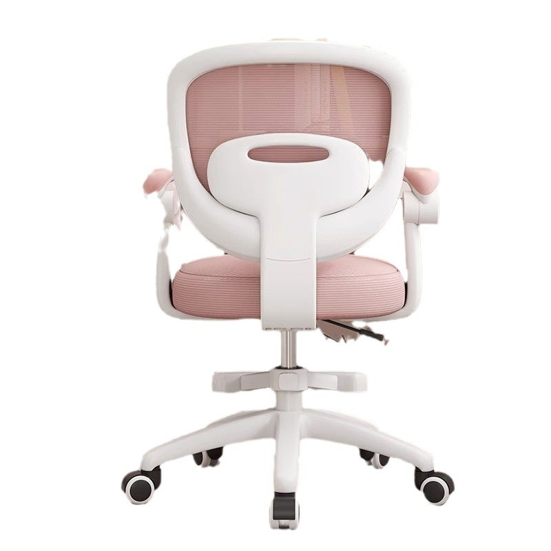 Lumbar Support Mesh Office Task Chair for Kids Student