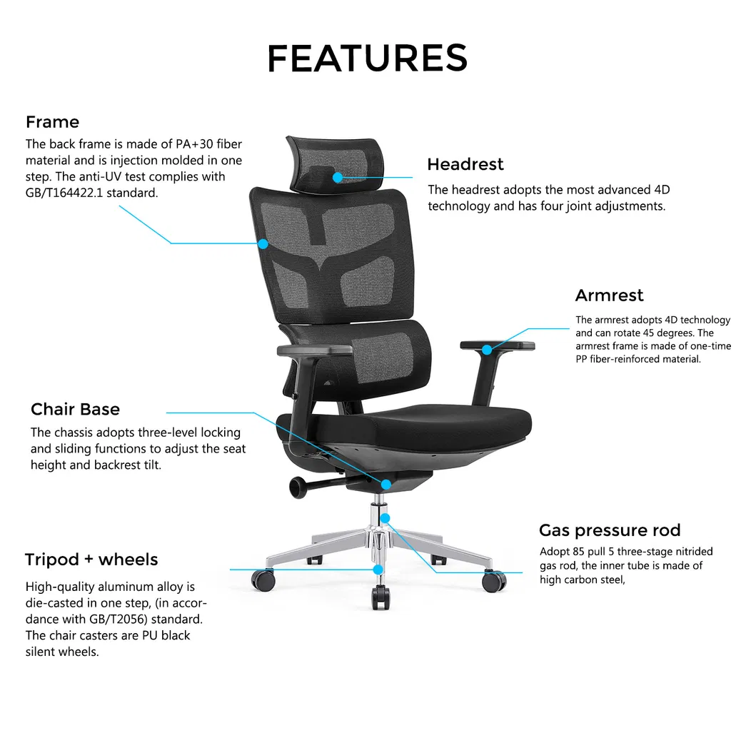 Ergonomic Chair Back Support