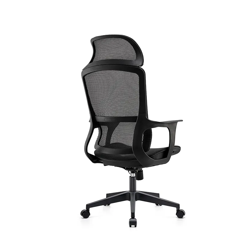 Lumbar support detail