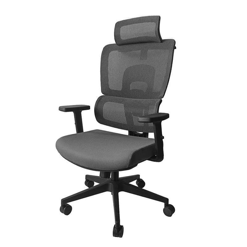 Big Tall Reclining Mesh Ergonomic Executive Comfortable Adjustable Lumbar Support Office Chair